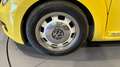 Volkswagen Coccinelle 1.6 TDI 105 Vintage Giallo - thumbnail 25