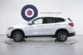 BMW X1 SDRIVE18D XLINE AUTOMATICA FULL LED Bianco - thumbnail 11