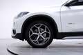 BMW X1 SDRIVE18D XLINE AUTOMATICA FULL LED Bianco - thumbnail 12