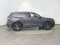 Volkswagen Tiguan R-Line TDI 4MOTION DSG Grau - thumbnail 13