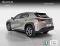 Lexus UX 300e Business Silber - thumbnail 4