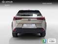 Lexus UX 300e Business Silber - thumbnail 5
