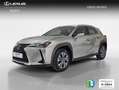 Lexus UX 300e Business Silber - thumbnail 1