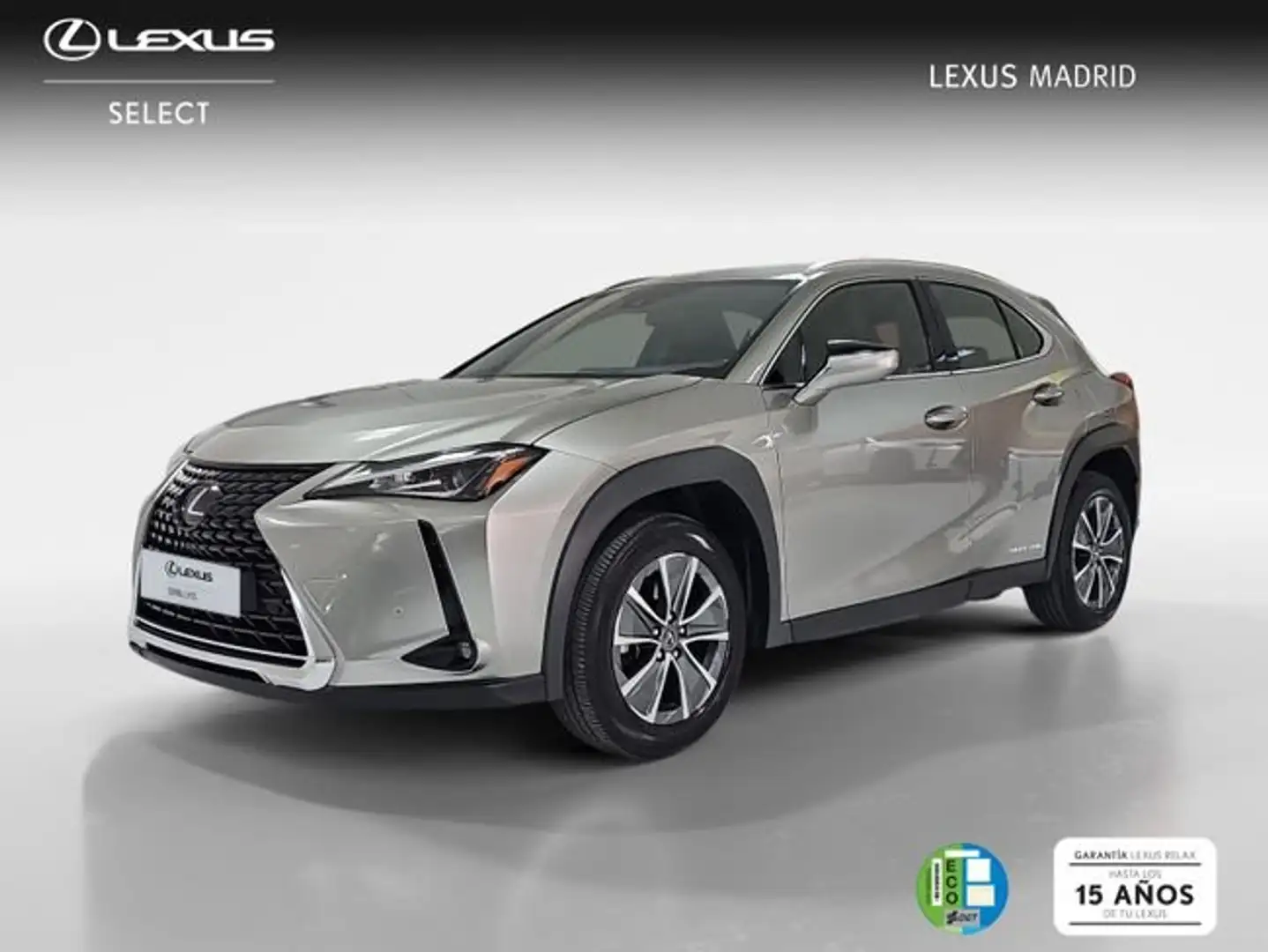 Lexus UX 300e Business Silber - 1