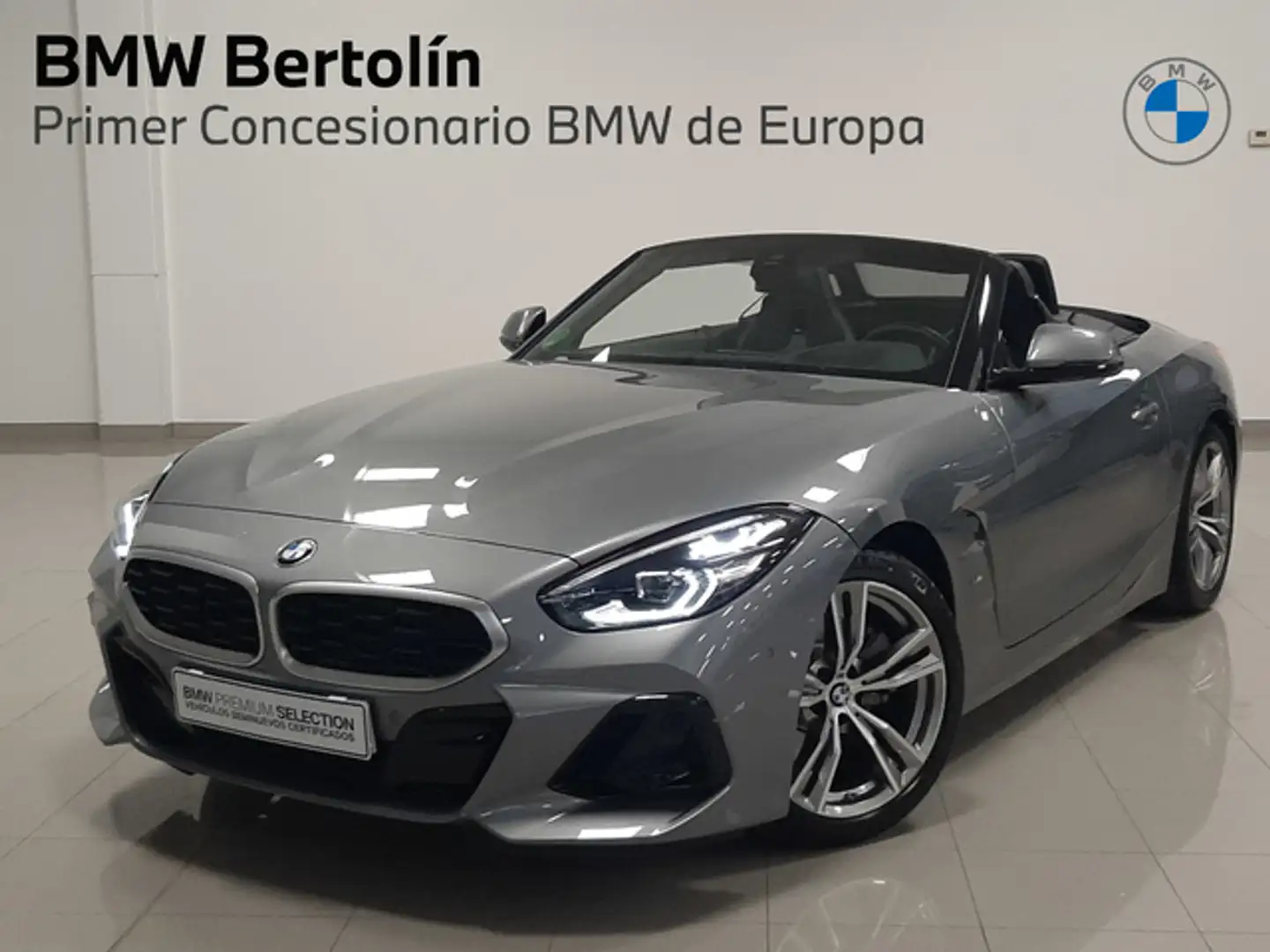 BMW Z4 sDrive 20iA Gris - 1