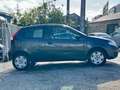 Fiat Punto 1.3Mjt 16v Active Blu/Azzurro - thumbnail 8