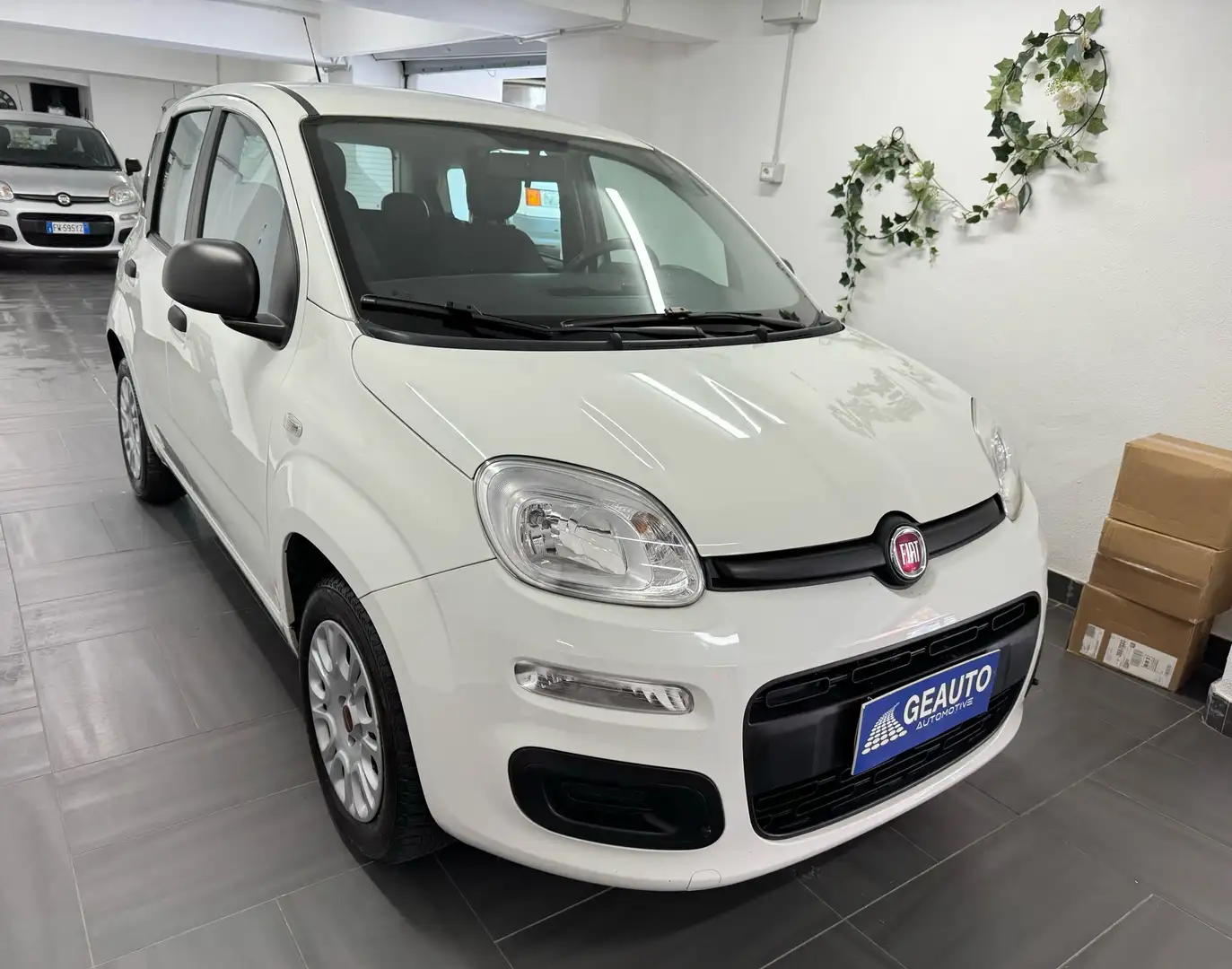 Fiat Panda 1.2 Lounge 69cv E6 NEOPATENTATI GARANTITA 12 MESI Wit - 1