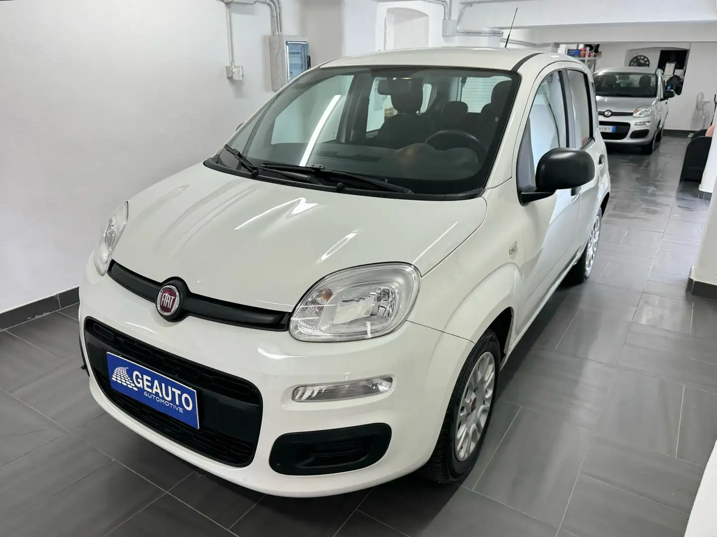 Fiat Panda 1.2 Lounge 69cv E6 NEOPATENTATI GARANTITA 12 MESI Wit - 2