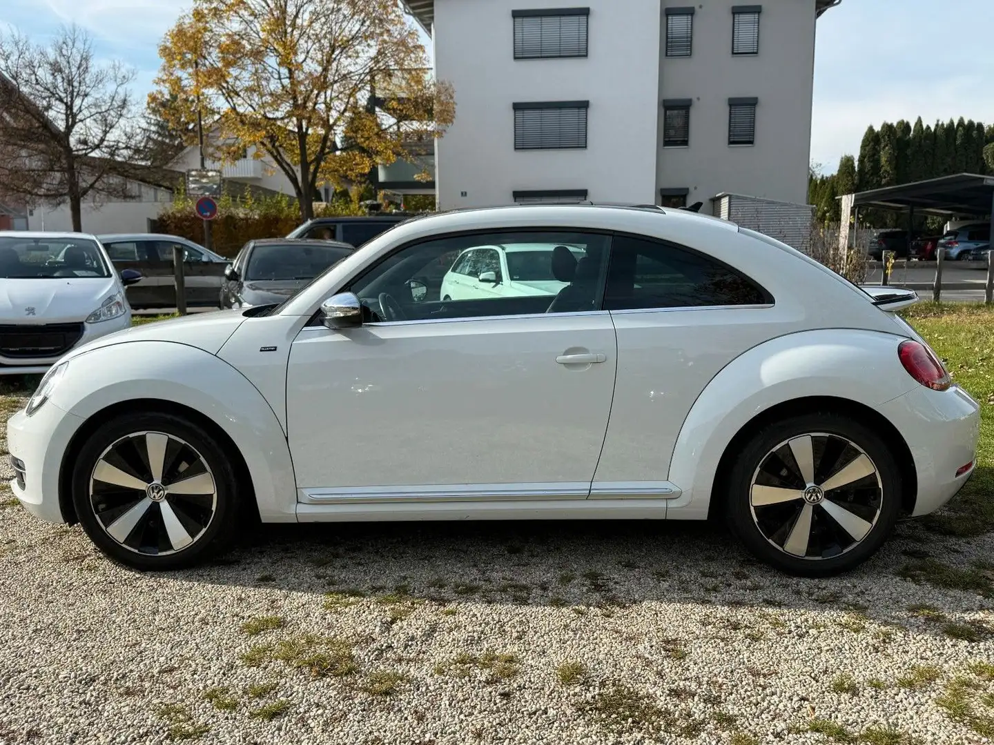 Volkswagen Beetle MWST AUSW. PANO KAM PDC NAVI KLIMA XENON Weiß - 2