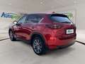 Mazda CX-5 2,5 SKYACTIVE -G 194 Revolution TOP AWD Rot - thumbnail 6