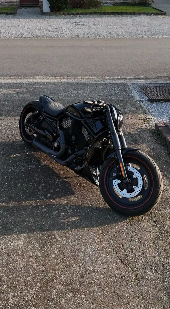 Harley-Davidson Night Rod Special Costum - 2