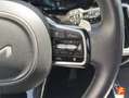 Kia Sorento 1.6 T-GDi HEV Plus Edition 4x2 Gris - thumbnail 13