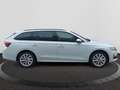 Skoda Octavia 1.5 TSI mHEV DSG Matrix/Canton/360°Kamer Weiß - thumbnail 6