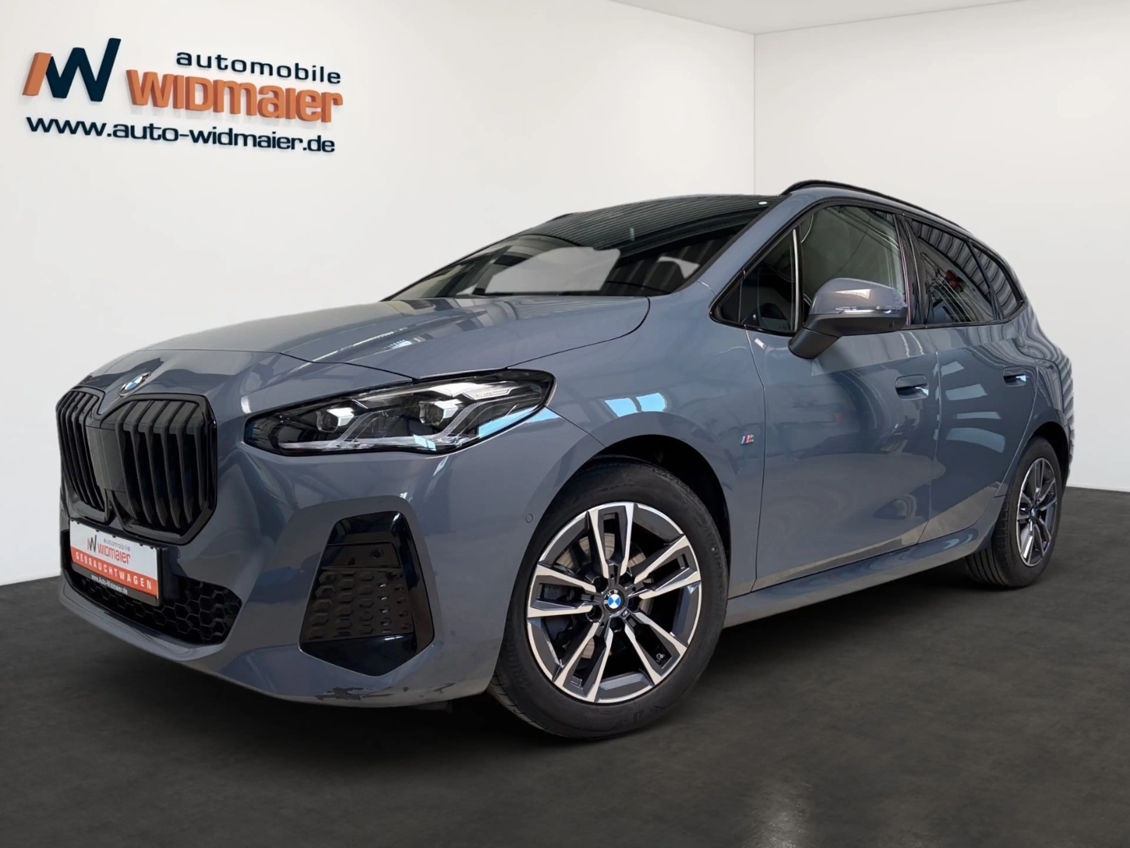 BMW 218 M Sport--ACC/Travel/Pano/Head