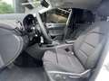 Mercedes-Benz B 220 d Ambition / AUTOMAAT / NAP / CRUISE / AIRCO / EUR Wit - thumbnail 22