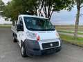 Fiat Ducato Pritsche   1Hand Weiß - thumbnail 1