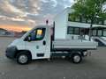 Fiat Ducato Pritsche   1Hand Weiß - thumbnail 6