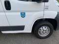 Fiat Ducato Pritsche   1Hand Weiß - thumbnail 13