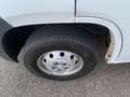 Fiat Ducato Pritsche   1Hand Weiß - thumbnail 11