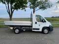 Fiat Ducato Pritsche   1Hand Weiß - thumbnail 2