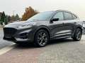 Ford Kuga ST-Line Navi Rkam Unfallfrei 1.Hand Hybrid/Benzin Gris - thumbnail 15