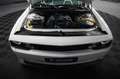 Dodge Challenger 6.4 V8 SRT 392 R/T SCAT PACK WIDEBODY Weiß - thumbnail 44