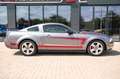 Ford Mustang V6  LEDER KLIMA ALU Grigio - thumbnail 12