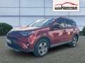 Toyota RAV 4 Hybrid 4x2 Team D 360°,AHK,Navi,ACC,Totwin.,LED Rojo - thumbnail 6