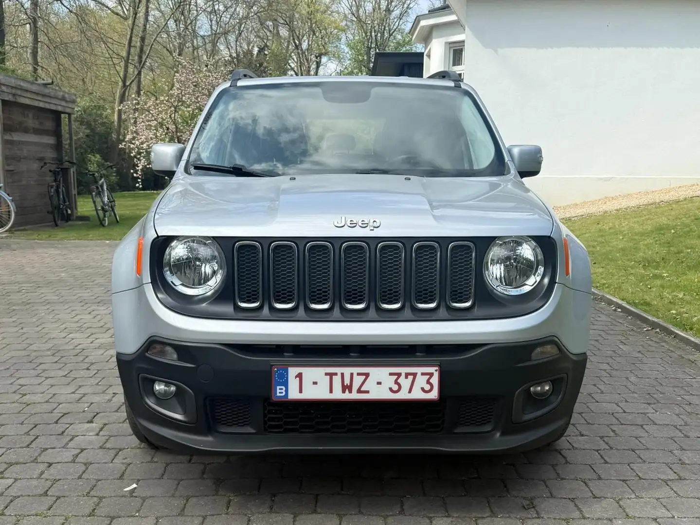 Jeep Renegade Renegade 1.6 MultiJet Night Eagle Gris - 2