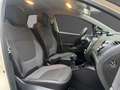 Renault Captur Captur dCi 90 Energy S\u0026amp;S eco² Intens Blanc - thumbnail 10