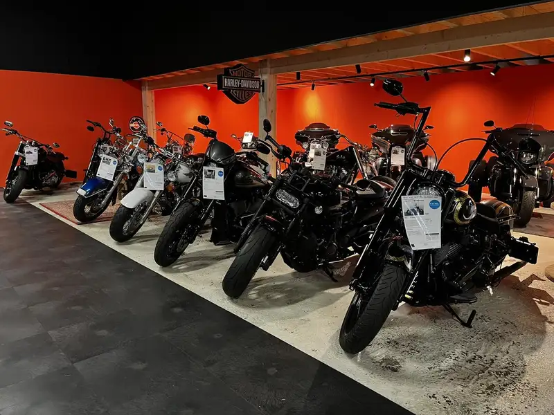 Harley-Davidson SPORTSTER 1200 - foto 4