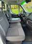 Iveco Daily 35C16H BTor 3.0 HPT PL-RG Cabinato Ribaltabile Blanco - thumbnail 17