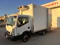 Nissan Cabstar NT400 35.13 sponda idraulica+ frigo ZANOTTI Blanc - thumbnail 16