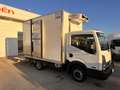Nissan Cabstar NT400 35.13 sponda idraulica+ frigo ZANOTTI Blanc - thumbnail 1