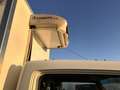 Nissan Cabstar NT400 35.13 sponda idraulica+ frigo ZANOTTI Blanc - thumbnail 11