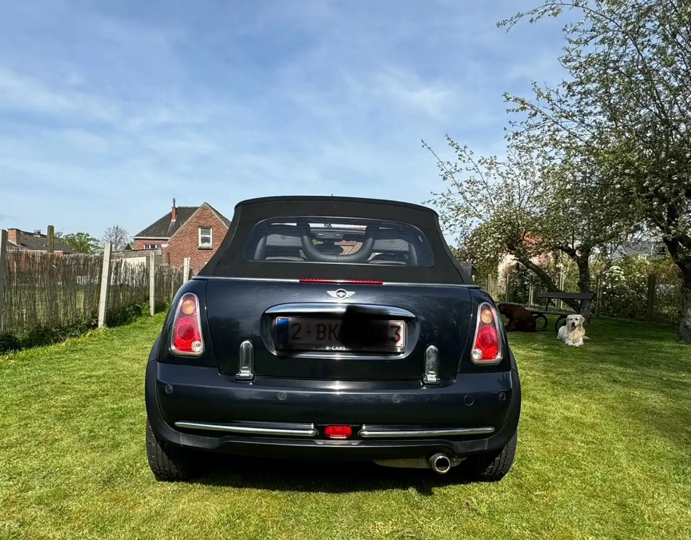 MINI Cooper Cabrio Kék - 2