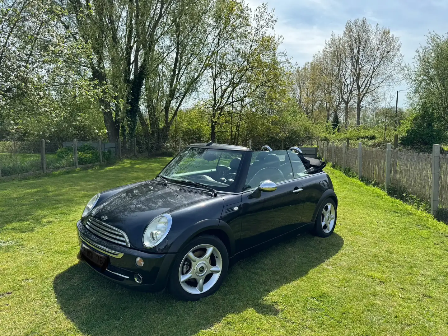 MINI Cooper Cabrio Синій - 1