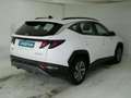 Hyundai TUCSON 1.6 TGDI 110kW 150CV 48V Maxx Blanco - thumbnail 4
