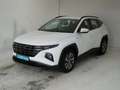 Hyundai TUCSON 1.6 TGDI 110kW 150CV 48V Maxx Blanco - thumbnail 2