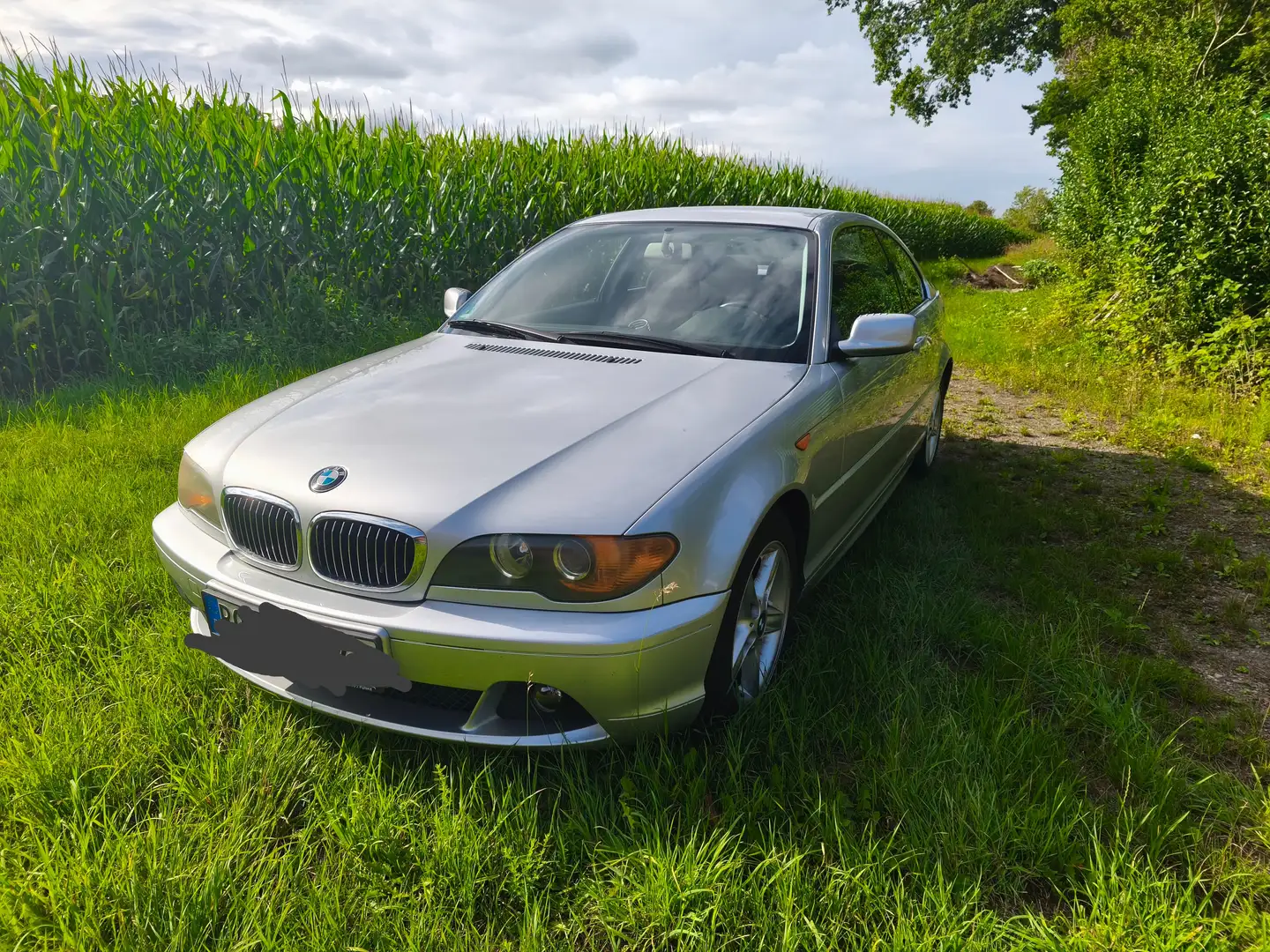 BMW 320 320 Ci Argintiu - 2
