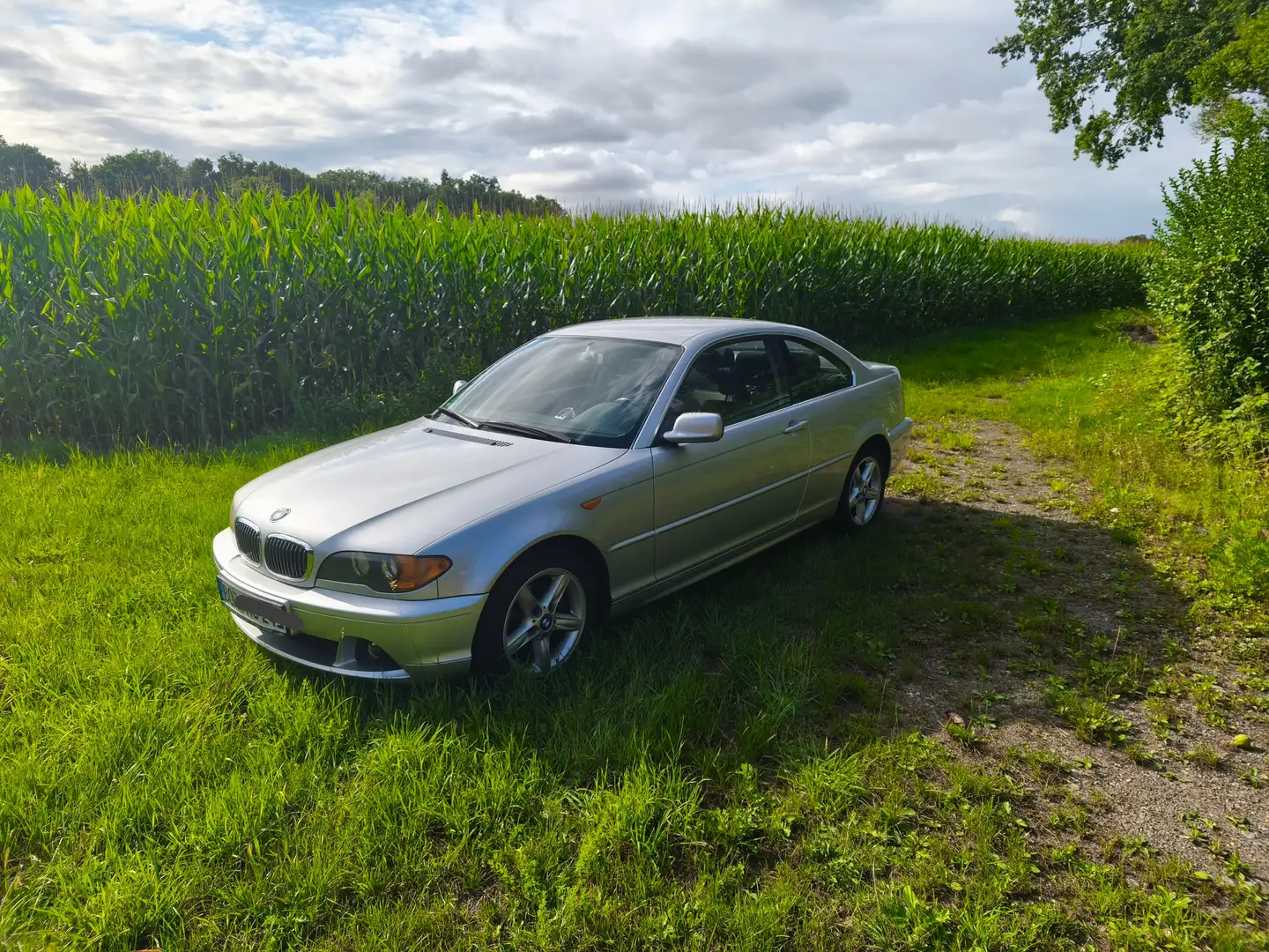 BMW 320 320 Ci Argintiu - 1