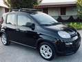 Fiat Panda LOUNGE **POSS.PACK MEDIA** VED.NOTE Nero - thumbnail 5