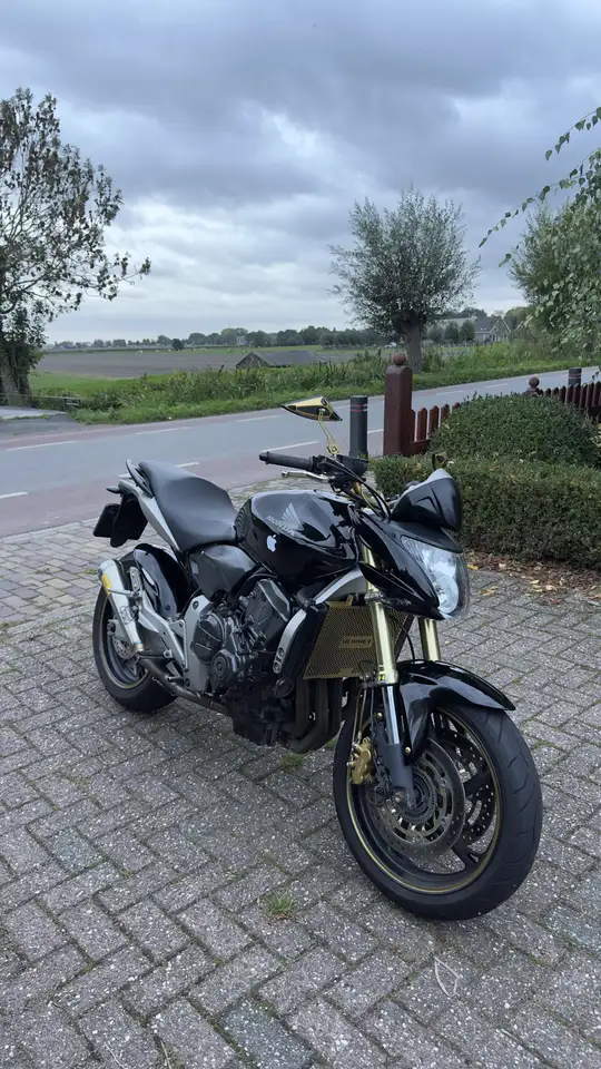 Honda Hornet
