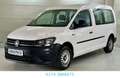 Volkswagen Caddy Nfz Maxi Kombi BMT/1 Hand/2.0 TDI Bianco - thumbnail 2