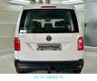 Volkswagen Caddy Nfz Maxi Kombi BMT/1 Hand/2.0 TDI Bianco - thumbnail 7