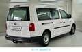 Volkswagen Caddy Nfz Maxi Kombi BMT/1 Hand/2.0 TDI Bianco - thumbnail 6