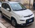 Fiat Panda Panda 1.3 mjt 16v Climbing 4x4 75cv my12 - thumbnail 2