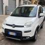 Fiat Panda Panda 1.3 mjt 16v Climbing 4x4 75cv my12 - thumbnail 1