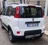 Fiat Panda Panda 1.3 mjt 16v Climbing 4x4 75cv my12 - thumbnail 3