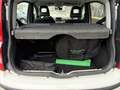 Fiat Panda 1.2 Dynamic Natural Power FUNZIONA PERFETTAMENTE Blanc - thumbnail 15
